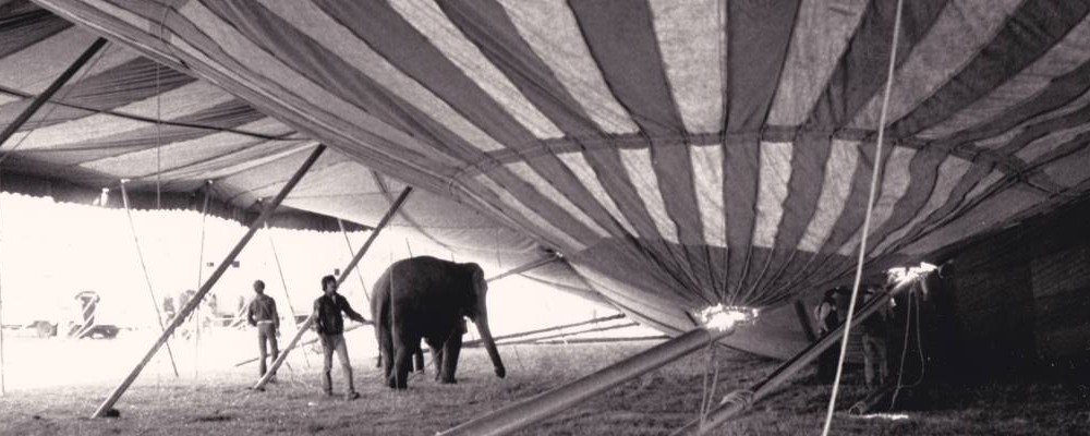 Under Tent